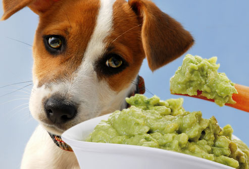 do eating